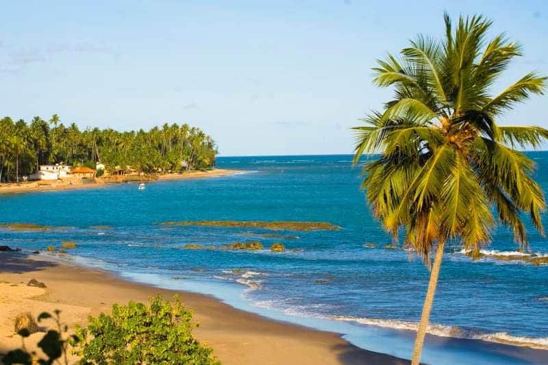 https://projetos.ss2.com.br/btgviagens/wp-content/uploads/2019/09/Maragogi-4.jpeg