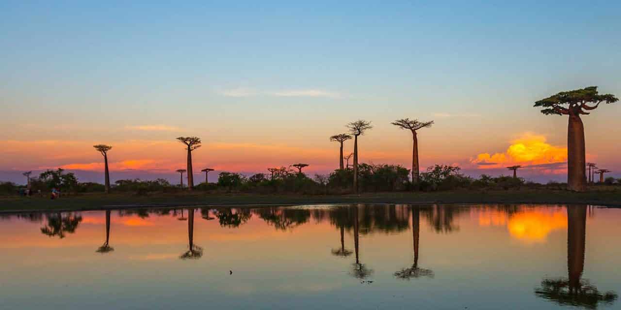 https://projetos.ss2.com.br/btgviagens/wp-content/uploads/2019/09/pacotes-de-viagens-banner-destino-africa-madagascar-1280x640.jpg