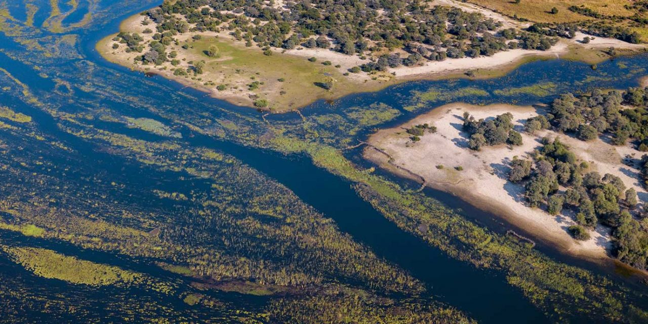 https://projetos.ss2.com.br/btgviagens/wp-content/uploads/2019/09/pacotes-de-viagens-banner-destino-africa-okavango-delta-1280x640.jpg