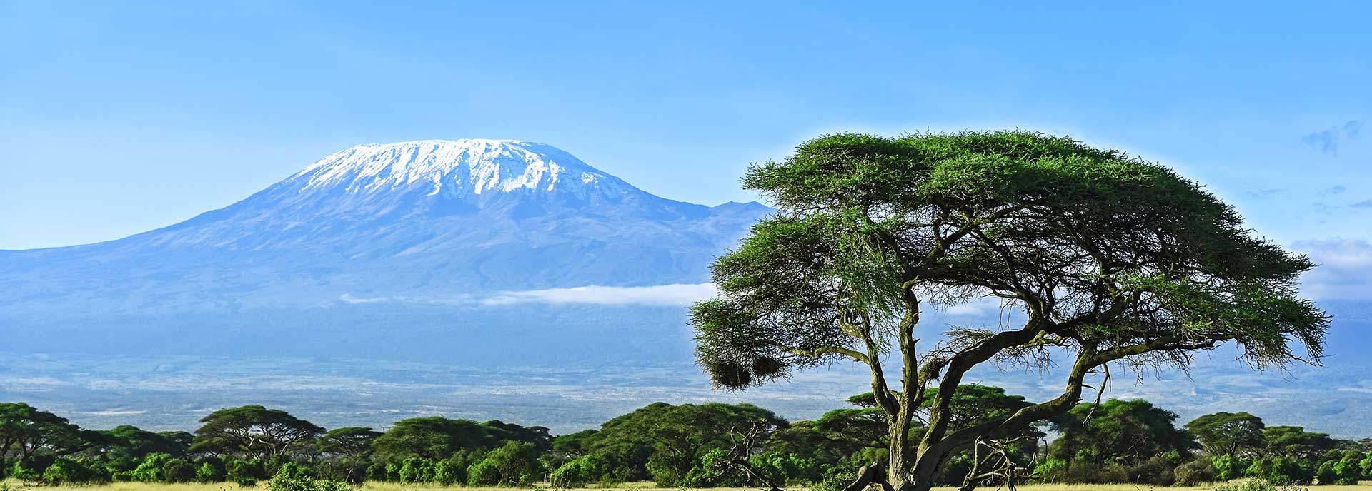 Pacotes de viagens Quénia