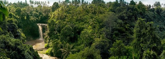 Pacotes de viagem para Manaus Floresta Amazônica Amazonas