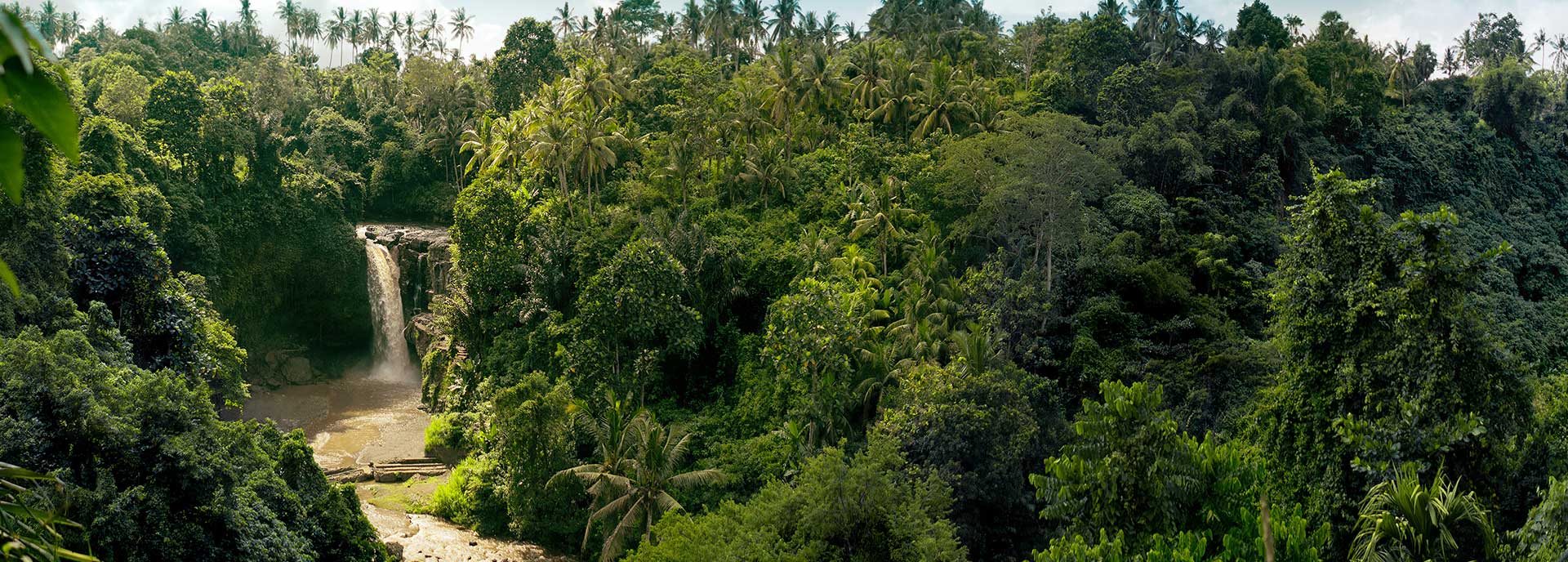 Pacotes Amazonas