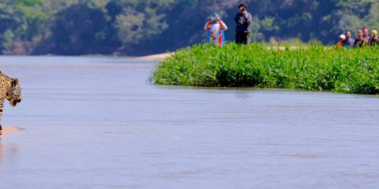 https://projetos.ss2.com.br/btgviagens/wp-content/uploads/2019/09/pacotes-de-viagens-banner-destino-brasil-centro-oeste-mato-grosso-pantanal-2-1280x640.jpg