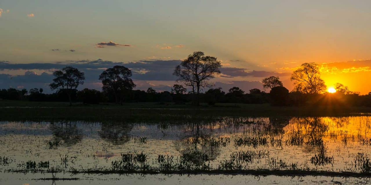 https://projetos.ss2.com.br/btgviagens/wp-content/uploads/2019/09/pacotes-de-viagens-banner-destino-brasil-centro-oeste-mato-grosso-pantanal-capa-1280x640.jpg
