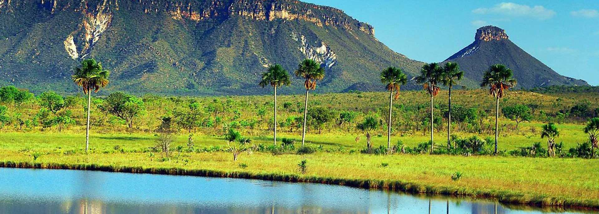 Pacotes Tocantins