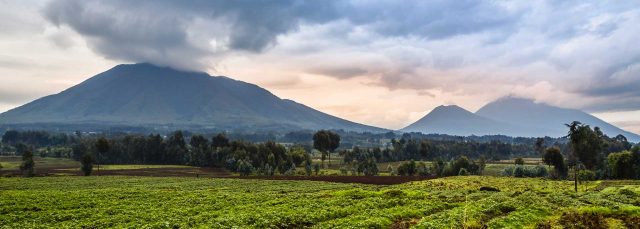 Pacotes de viagem para África - Ruanda